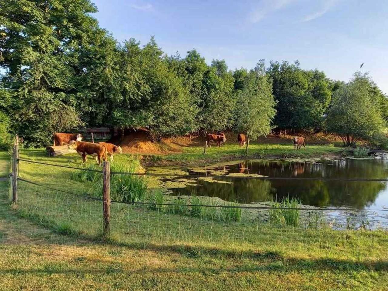Boertel Lamperse Hei Wanroij Exterior foto